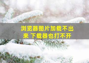 浏览器图片加载不出来 下载器也打不开